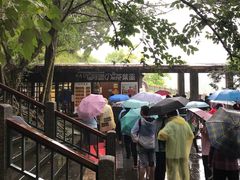 -金盆阿嬷香菇茶叶蛋(玄光店)