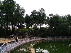 -莲湖公园