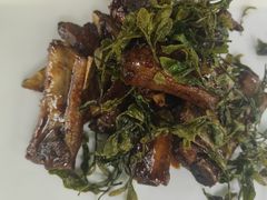 -阿巧茶庄