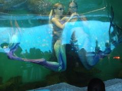 -瑞德姆美人鱼海底演艺主题餐厅(亚龙湾店)