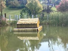-南阳卧龙岗武侯祠