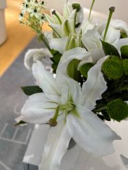 -HEYAN长风荷妍专业脱毛美肤
