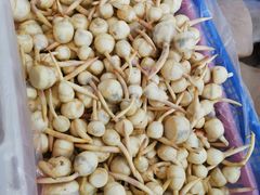 -昆明东站水果交易市场