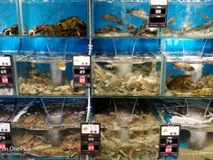 水产区-苏大嘴海鲜牧场(奥林匹克店)