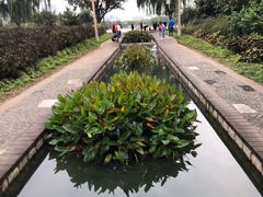 -洛阳市隋唐城遗址植物园