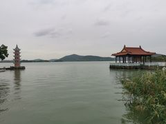 -君来湖滨饭店·渔餐厅