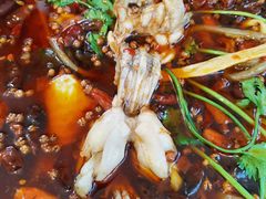 -鸿顺老铁锅美蛙鱼府(解放碑店)