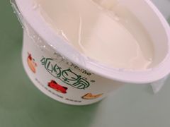 -狐狸家·酸奶酪专门店(平江路店)