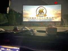 -枫花园汽车电影院(朝阳公园店)