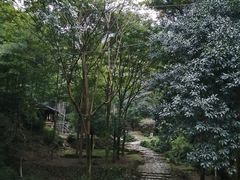 -仙霞关景区