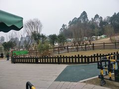 -黄龙溪欢乐田园