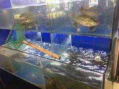 水产区-百家鲜·杭帮菜