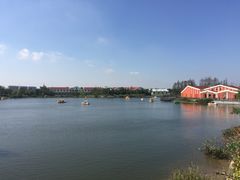 -上海长兴岛郊野公园