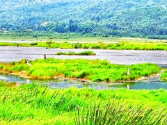 -腾冲北海湿地