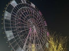 -南昌之星摩天轮