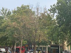 -清真马杰山牛肉汤馆