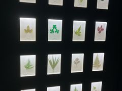 -河南自然博物馆