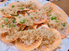 扇贝-越乡小厨(侨港店)