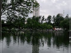 -飞虎过桥米线(翠湖店)