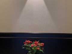 -涟LIAN·泰式按摩·MASSAGE·SPA(深业上城店)