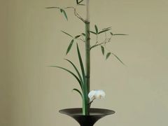 -苗祖咖啡(洛克时代中心店)