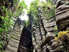 -梭布垭石林景区