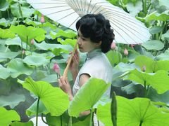-花之城