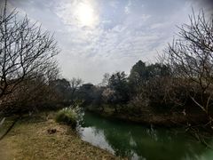 -西溪国家湿地公园