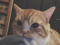 -九毛九西北菜(百信广场店)
