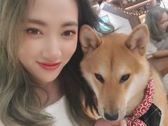 -more than meow吴止猫主题餐厅(承德 中船汇店)