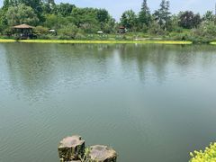 -桤木河湿地公园