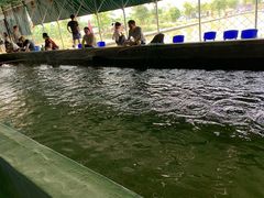 -会江钓鱼钓虾烧烤场