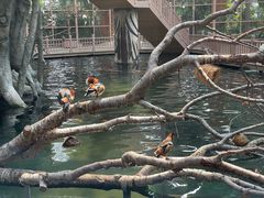 -南宫五洲植物乐园