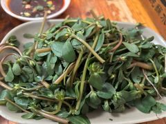 马齿苋-汝萍传统蘸水菜(春华路总店)