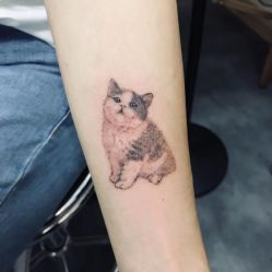 -天道tattoo纹身穿孔工作室