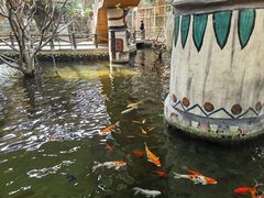 -南宫五洲植物乐园