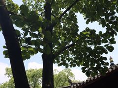 -天一阁博物院