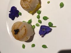 鱼子酱香煎带子皇-皇朝会.经典传统粤菜(外滩店)