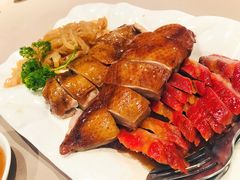 -八樂居