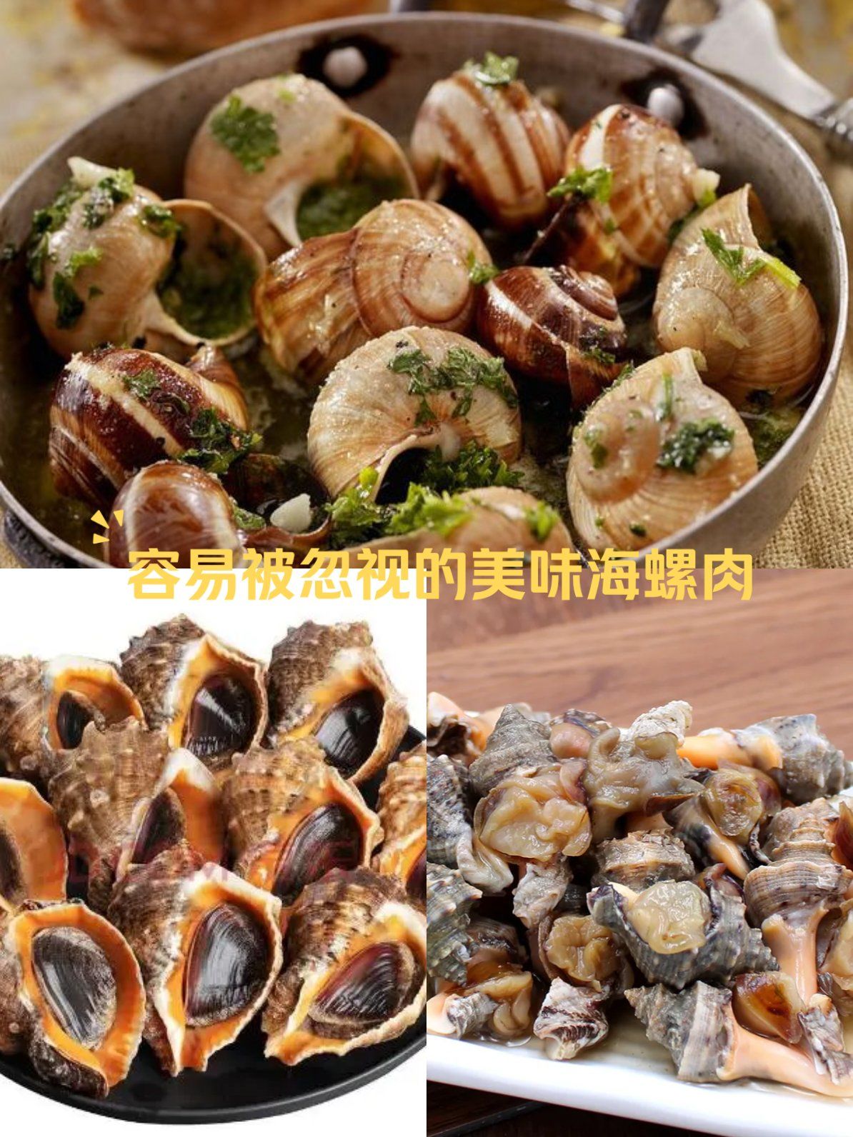 大海的味道海螺肉