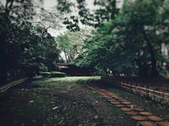 -东京国立博物馆