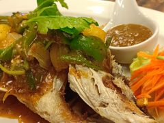 -Daddy Nimman Chiang Mai