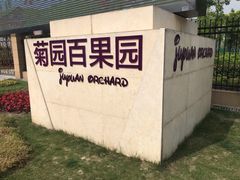 -菊园百果园