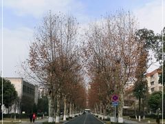 -四川大学(望江校区)
