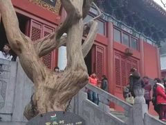 -信阳灵山风景区