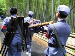 -全国青少年井冈山革命传统教育基地