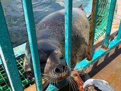 -北戴河圣蓝海洋公园