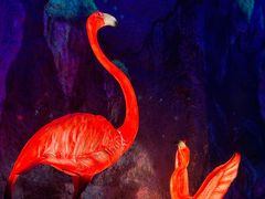 -栾川竹海野生动物园