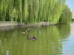 -南翠屏公园