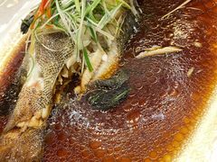 清蒸海参斑-通庆楼(新开路店)